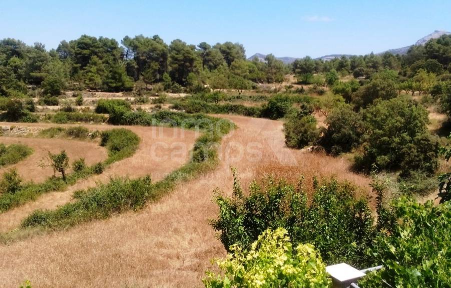 Venta - Finca - Penáguila