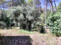 Venta - Casa de Campo - Villalonga