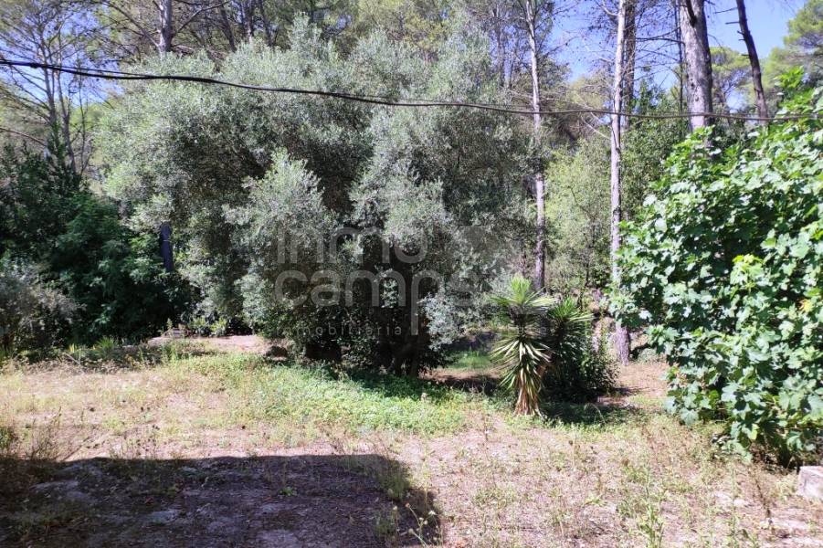 Venta - Casa de Campo - Villalonga