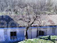 Venta - Finca - Alcoy