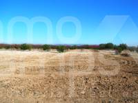 For sale - Finca - Albaida