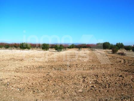 For sale - Finca - Albaida