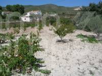 For sale - Country House - Ontinyent