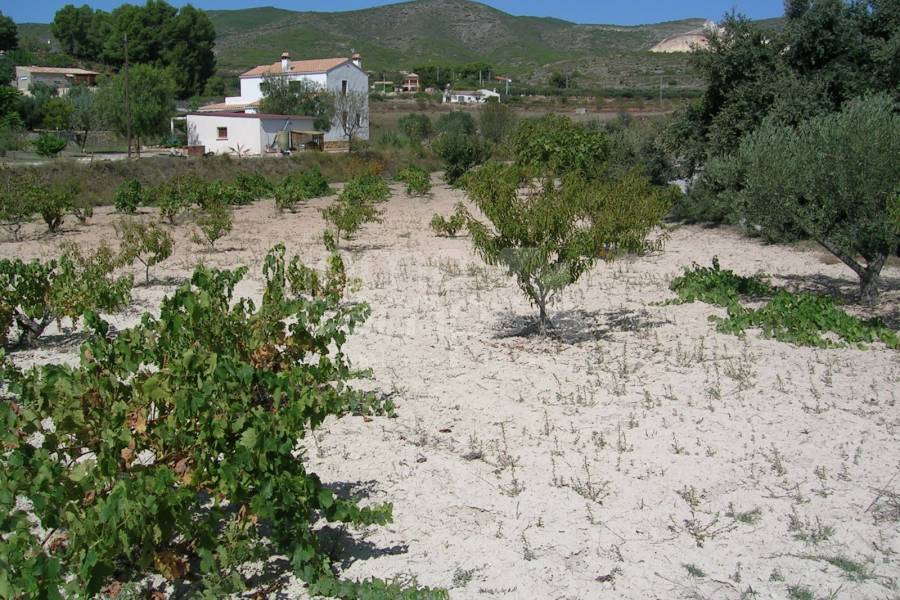 For sale - Country House - Ontinyent