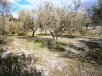 Te koop - Landhuis - Cocentaina