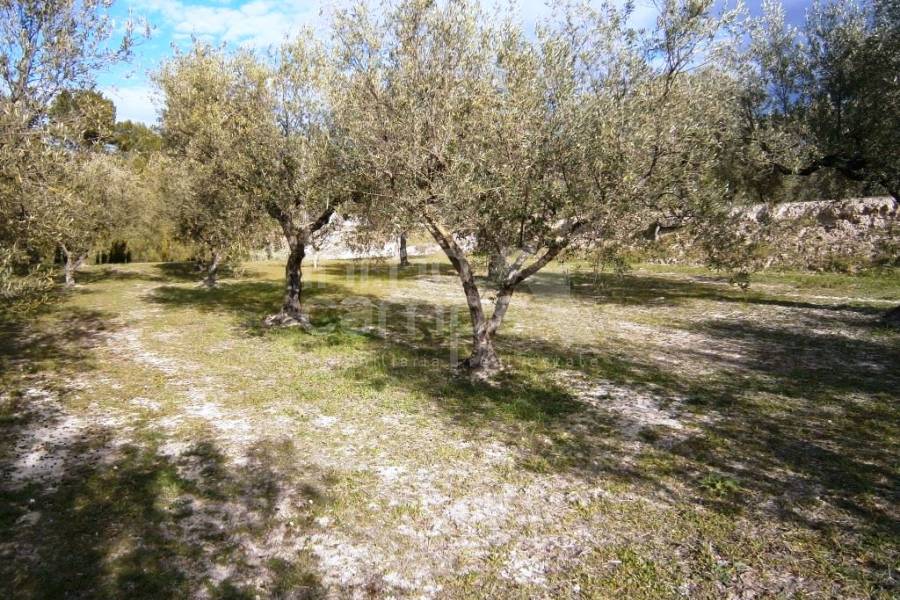 Te koop - Landhuis - Cocentaina