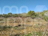 Te koop - Landhuis - Ontinyent