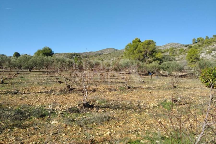Te koop - Landhuis - Ontinyent