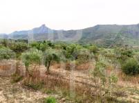 For sale - Country House - Vall de Gallinera - Alpatró