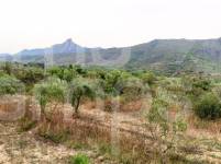 Venta - Casa de Campo - Vall de Gallinera - Alpatró