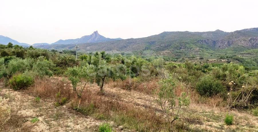Venta - Casa de Campo - Vall de Gallinera - Alpatró