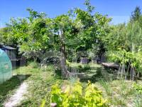 Venta - Chalet - Alfafara
