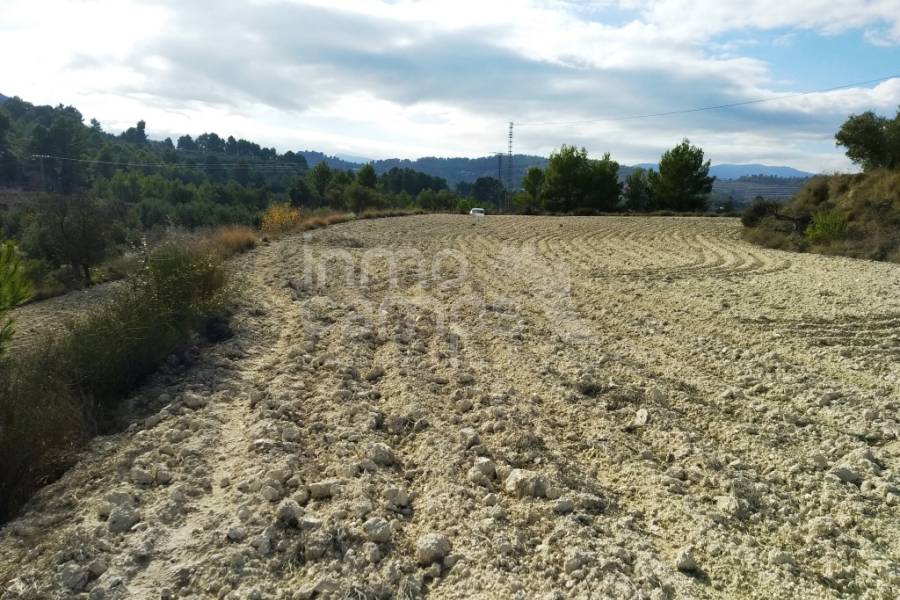 For sale - Rustic Land - Benillup