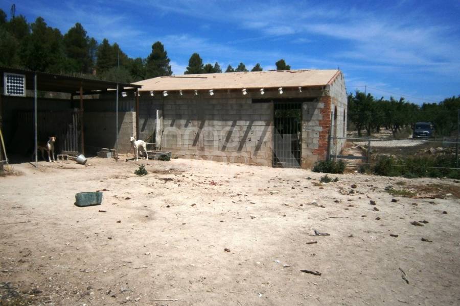 Venta - Casa de Campo - Penáguila