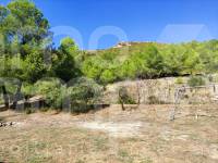 Te koop - Landhuis - Albaida