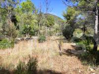 Venta - Casa de Campo - Villalonga