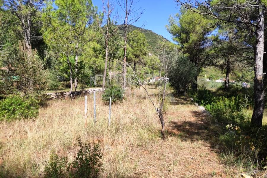 Venta - Casa de Campo - Villalonga