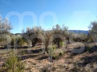 For sale - Rustic Land - Benimarfull