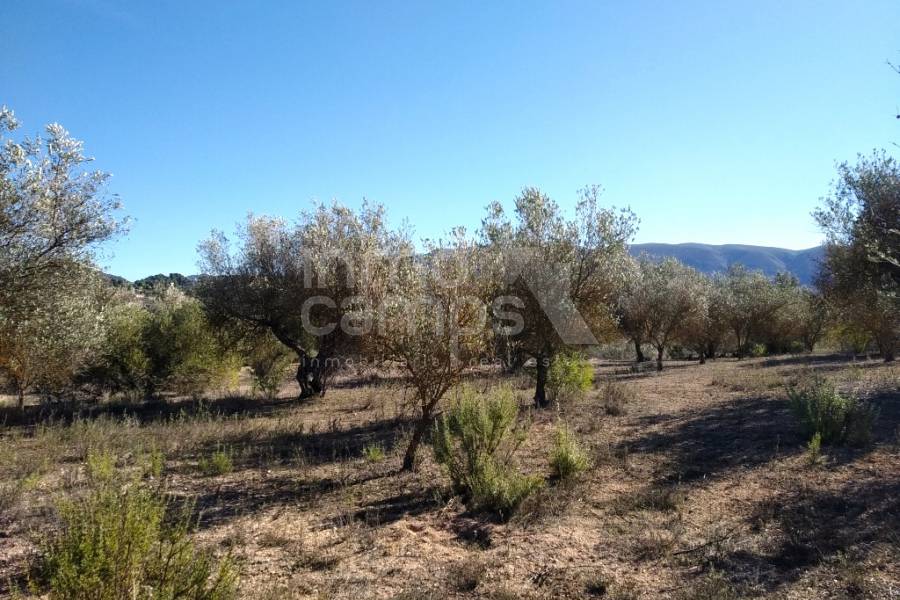 For sale - Rustic Land - Benimarfull