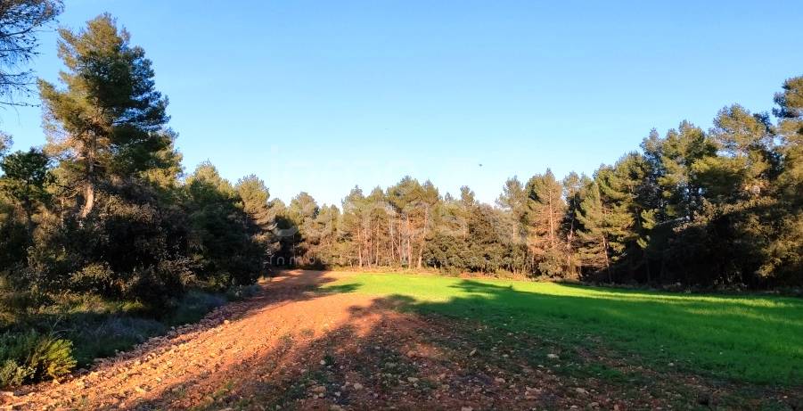 For sale - Finca - Bocairent