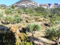 Te koop - Landhuis - Benasau