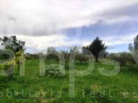 Te koop - Landhuis - Albaida