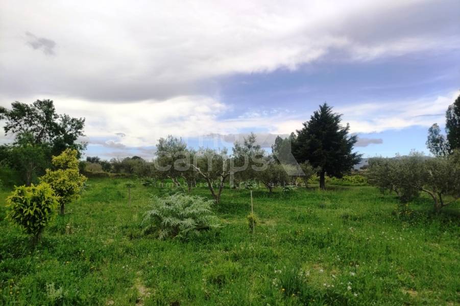 Te koop - Landhuis - Albaida