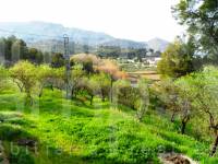 Venta - Finca - Cocentaina