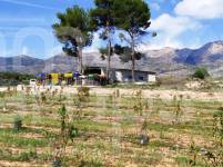 For sale - Finca - Alcocer de Planes