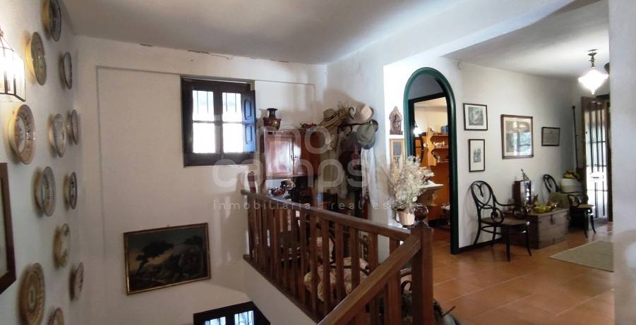 Venta - Finca - Alcoy