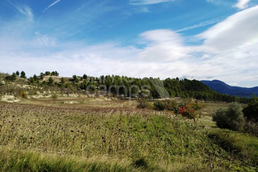 Venta - Finca - Benilloba