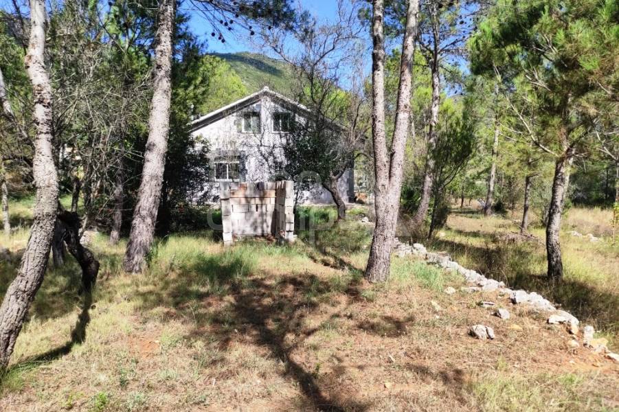 Venta - Casa de Campo - Villalonga