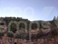 For sale - Rustic Land - Benifallim