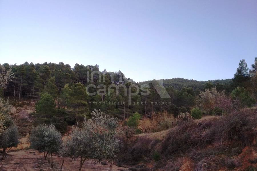 For sale - Rustic Land - Benifallim