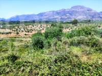 Venta - Parcela Rústica - Planes