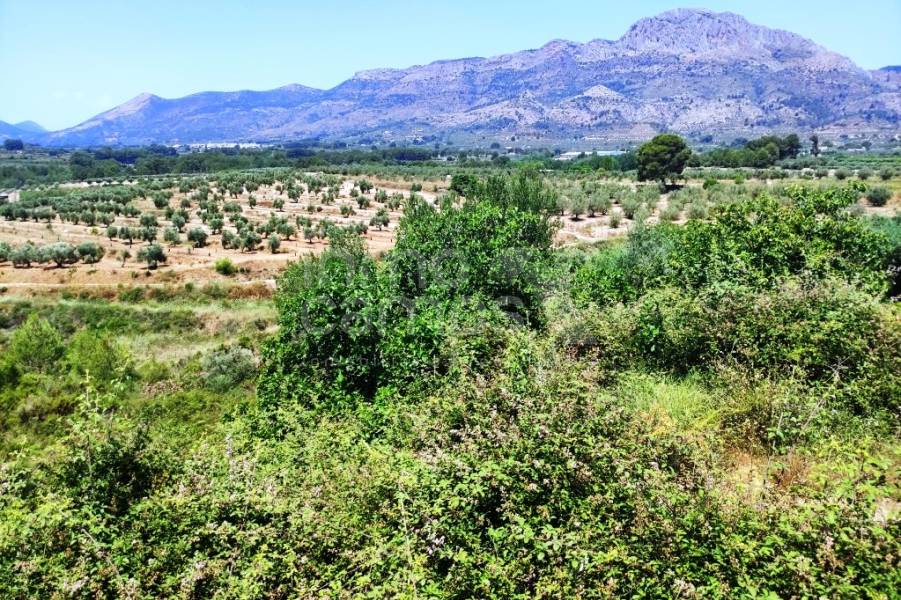 Venta - Parcela Rústica - Planes