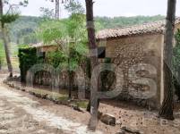 Venta - Finca - Alcoy