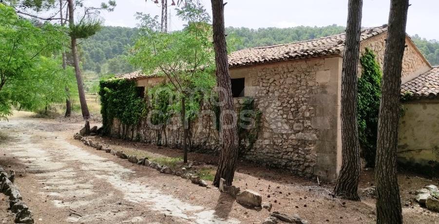 Venta - Finca - Alcoy