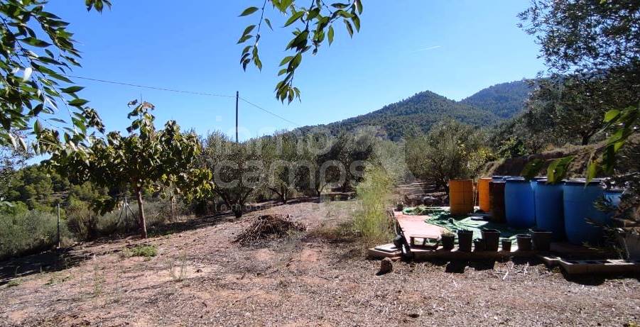 For sale - Country House - Cocentaina