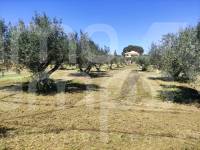 Te koop - Landhuis - Ontinyent
