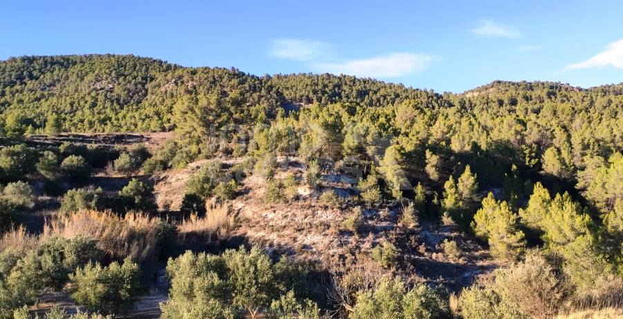 For sale - Finca - Alcoy