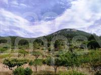 Venta - Casa de Campo - Penáguila