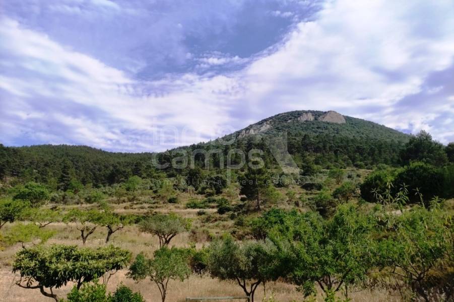 Venta - Casa de Campo - Penáguila