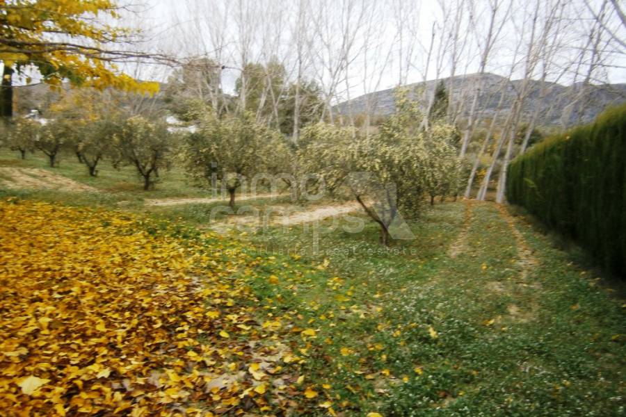 Venta - Casa de Campo - Muro de Alcoy