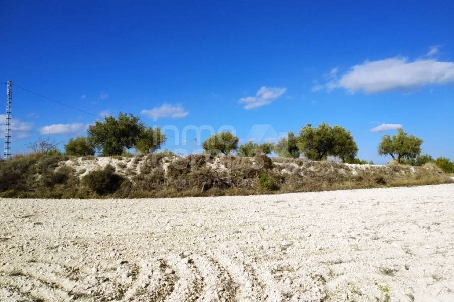 For sale - Rustic Land - Benillup