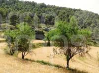 Venta - Finca - Alcoy