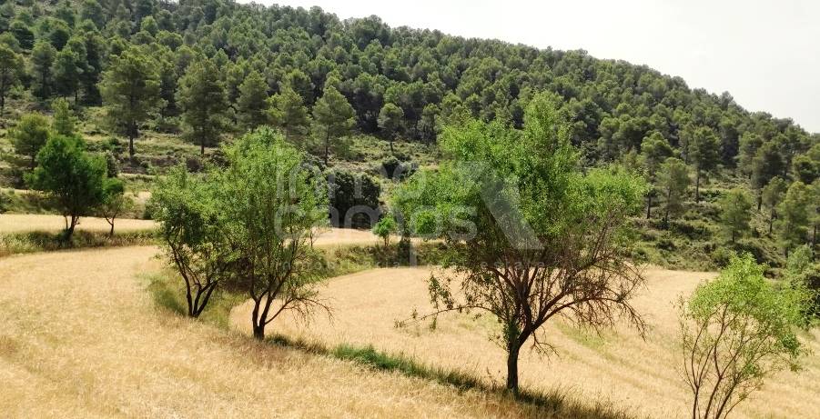 Venta - Finca - Alcoy