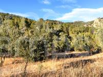 Venta - Finca - Alcoy