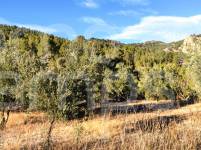 Venta - Finca - Alcoy