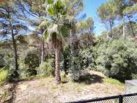 Venta - Casa de Campo - Villalonga